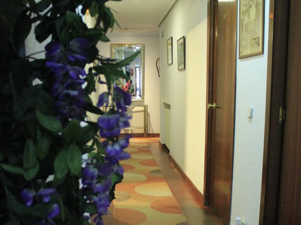 Hostal Esmeralda - photo 12