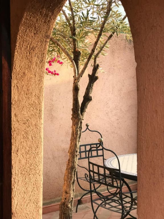 Riad Zahir - photo 7