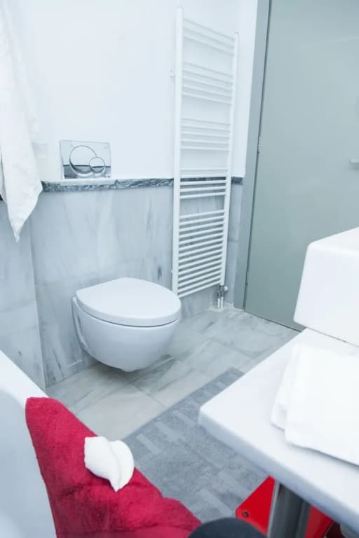 Alpha Boutique Apartment - photo 8