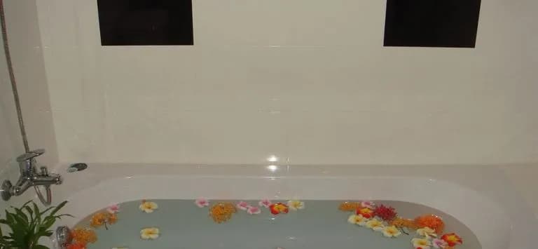 Preah Vihea Hotel - photo 8