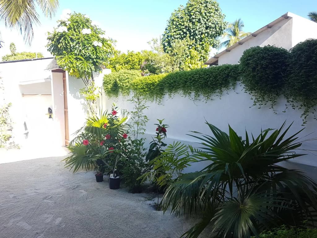 Rasdhoo View Inn - photo 18