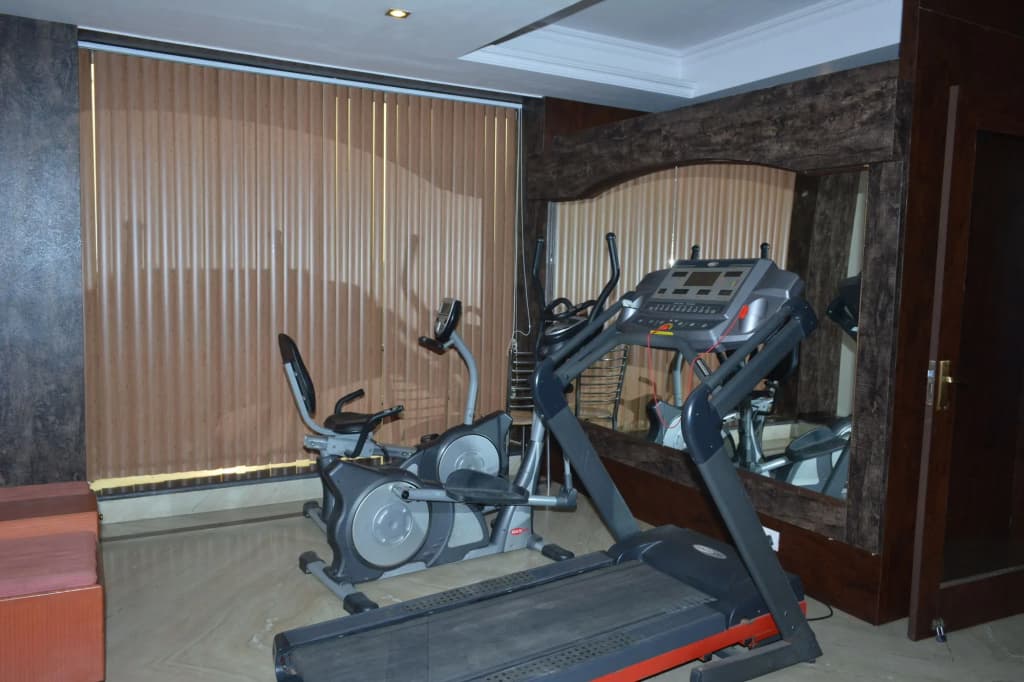 Hotel Vishal Residency, Mahipalpur Near IGI Delhi Airport - photo 18
