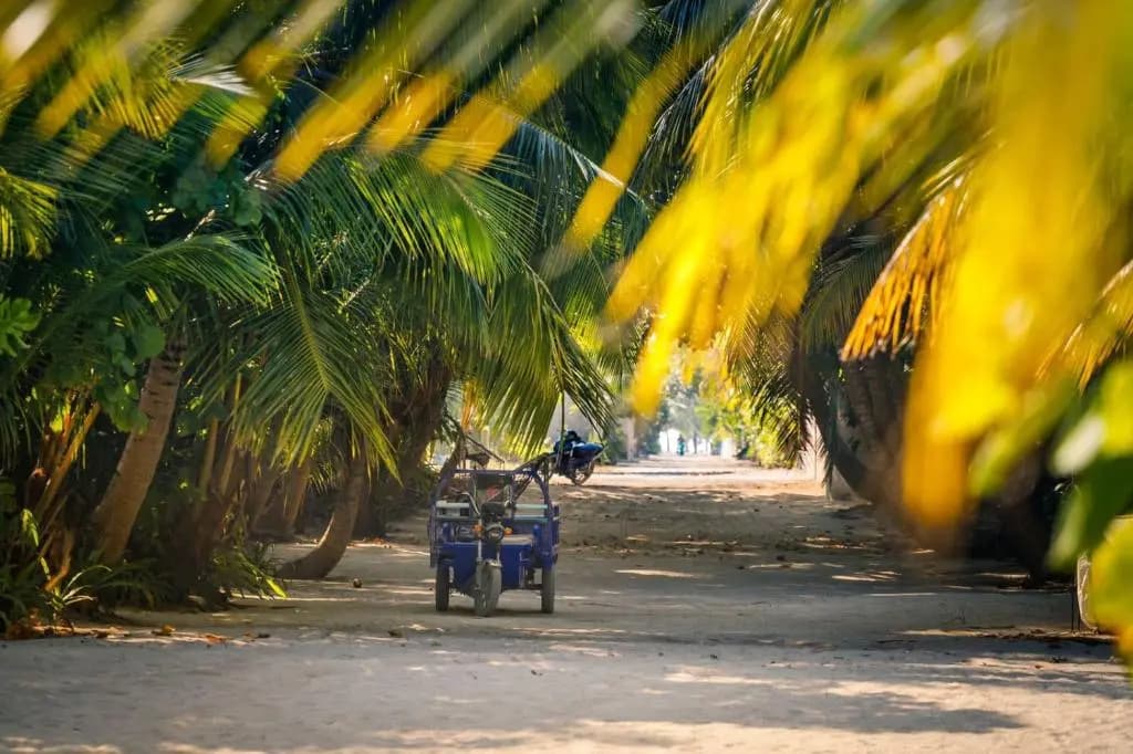 Fehendhoo Stay - photo 9