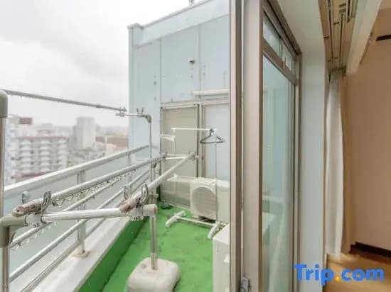 Skyview Serenity Duplex Shinjuku - photo 6