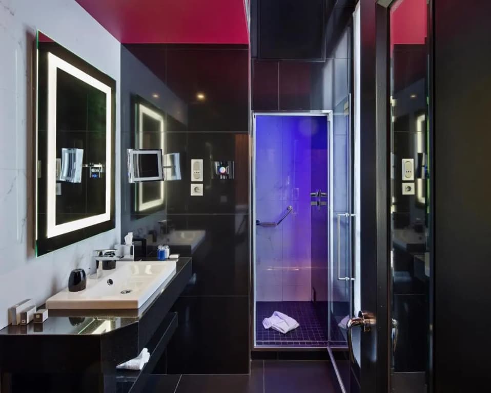 Maison Albar - Le Diamond - photo 33