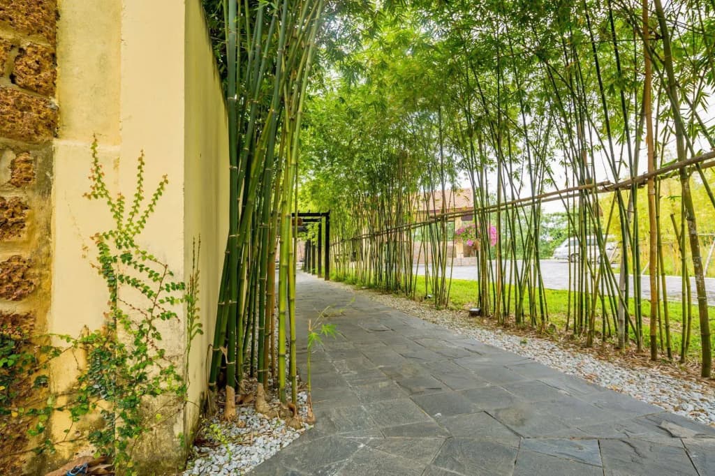 The Blossom Resort Island Da Nang - photo 25