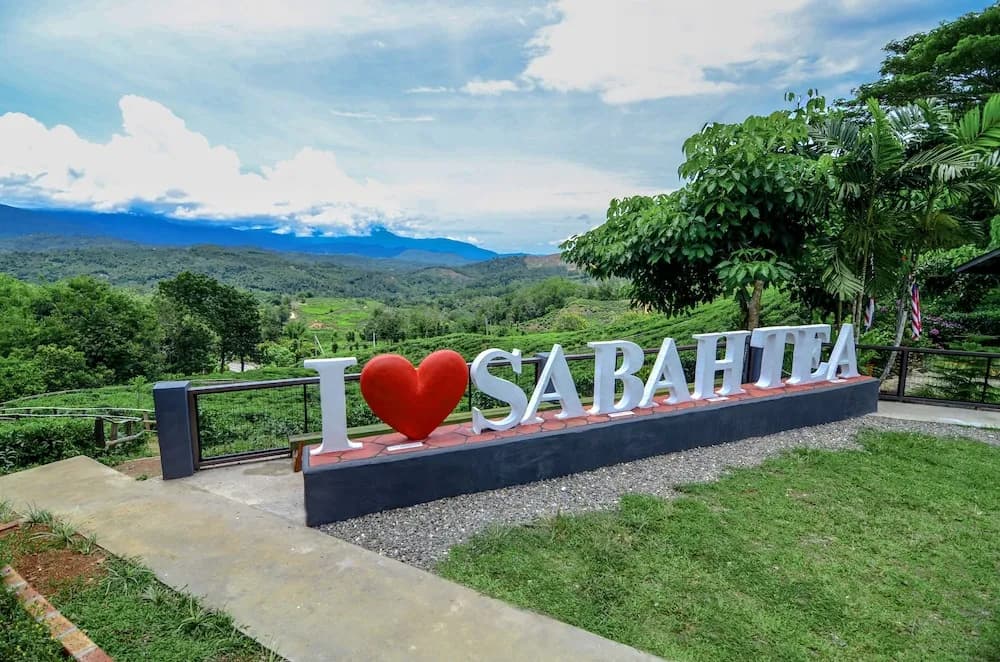 Sabah Tea Resort - photo 43