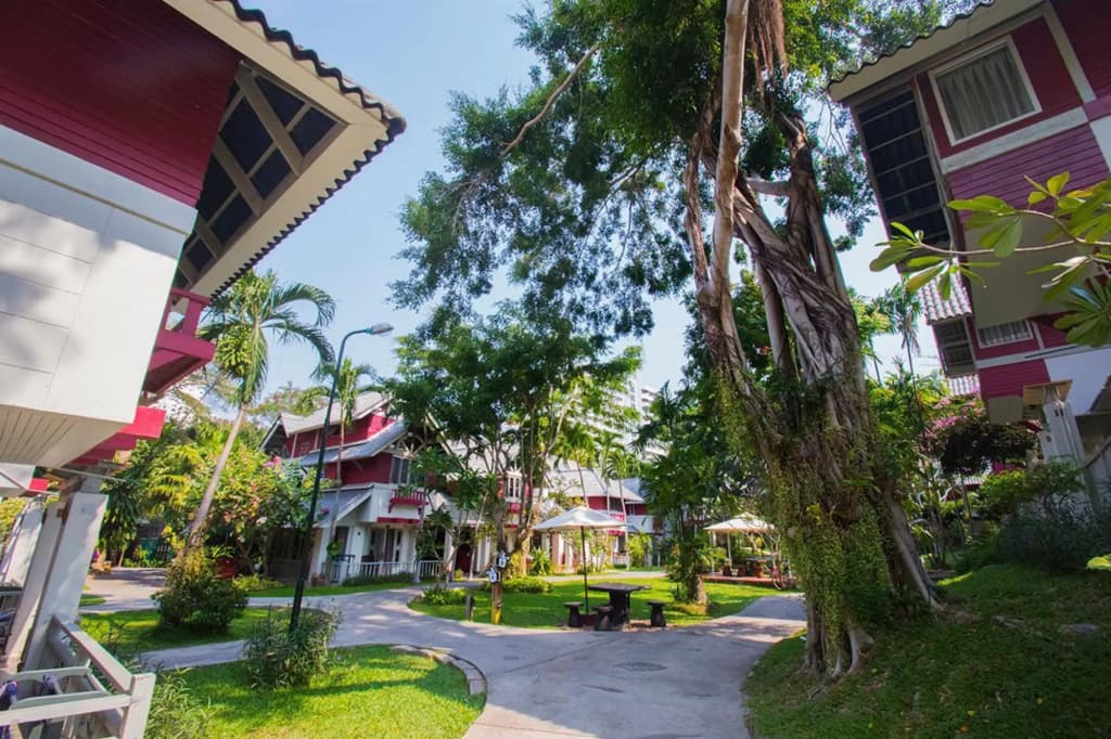 Natural Park Resort - photo 25