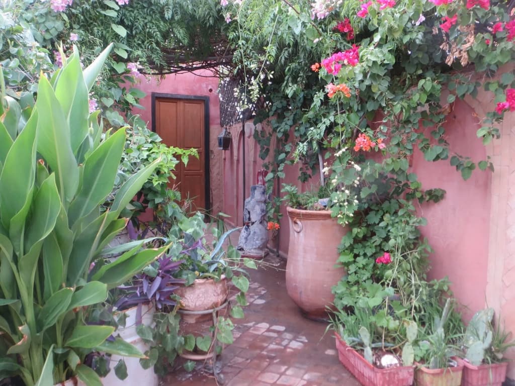 Riad Maizie - photo 17