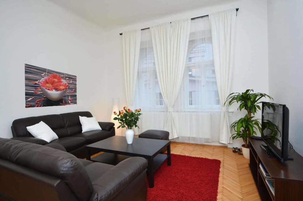 Apartment Amadeus - photo 6