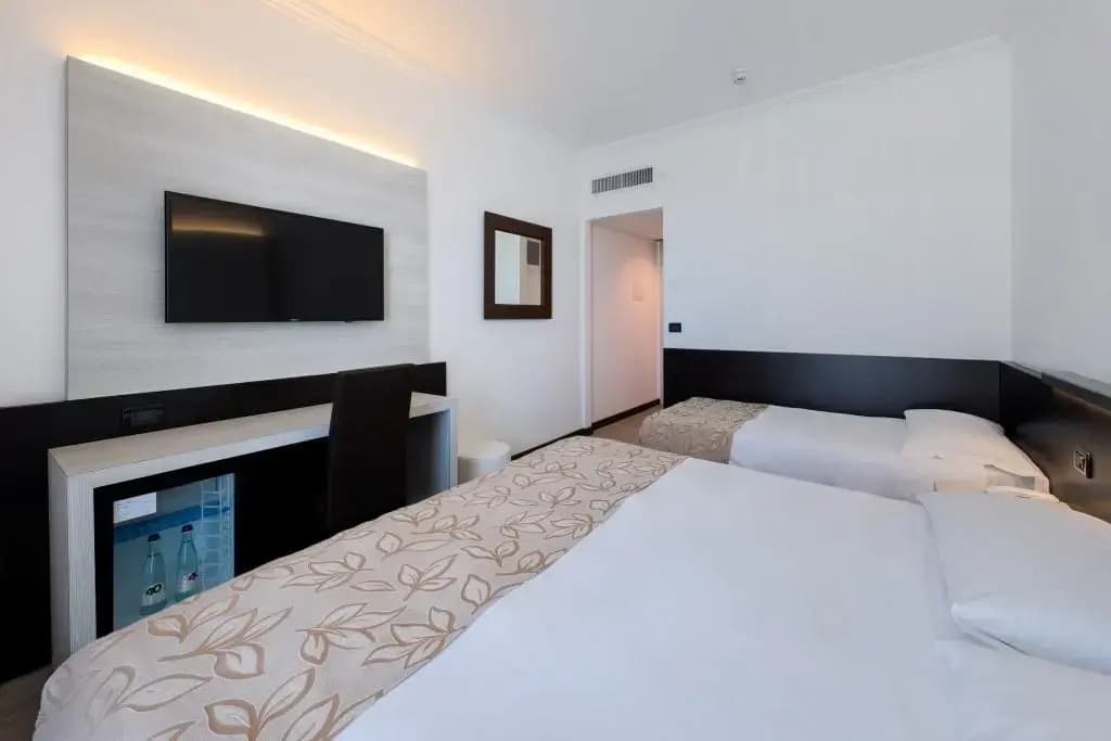 Hotel Ambasciatori  Delfino - photo 4