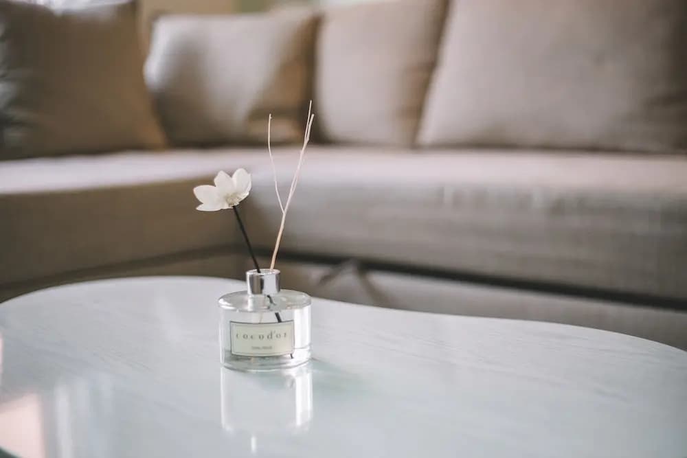 Mint House - photo 11