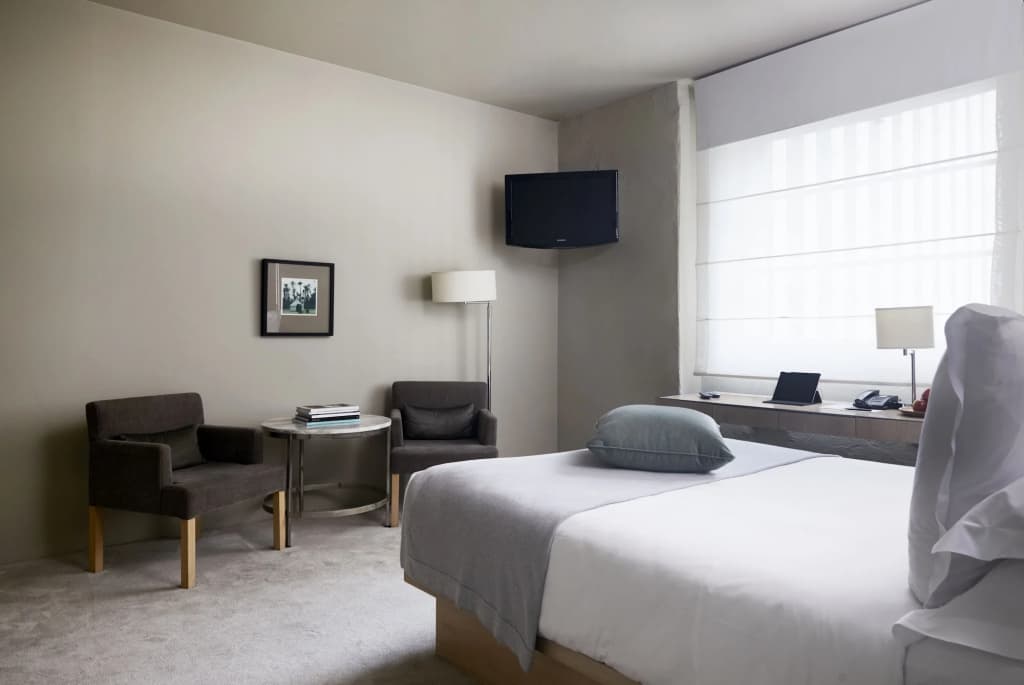Establishment Hotel - photo 4