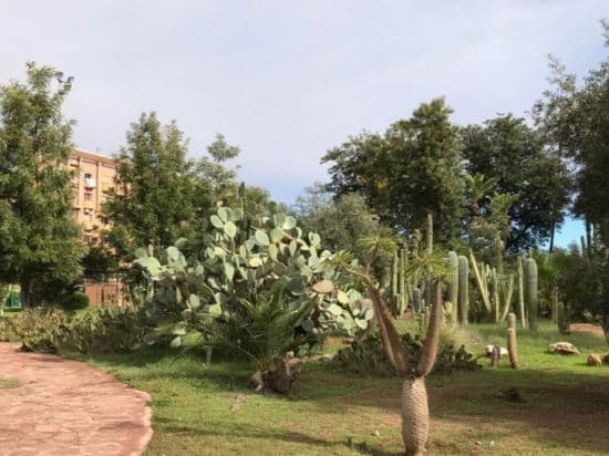 Hotel Harti - main photo