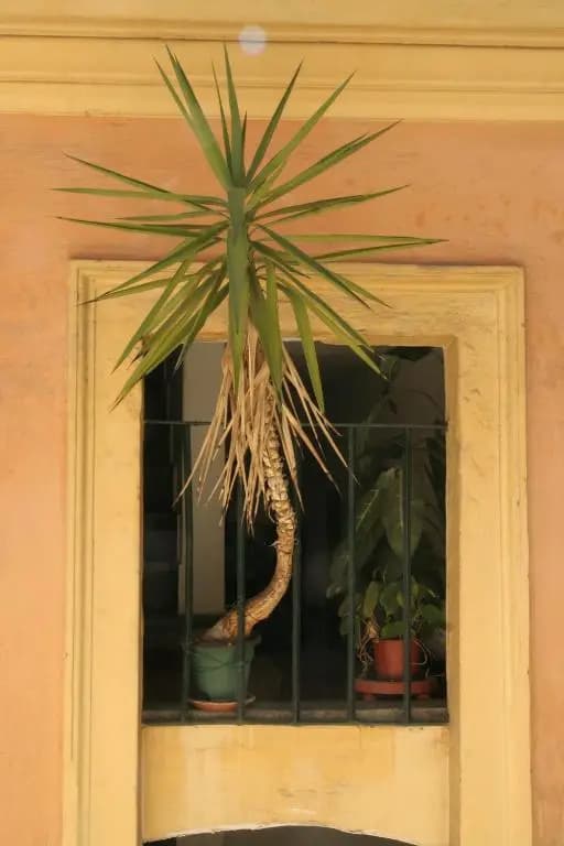 Casa Mia a Trastevere - photo 15