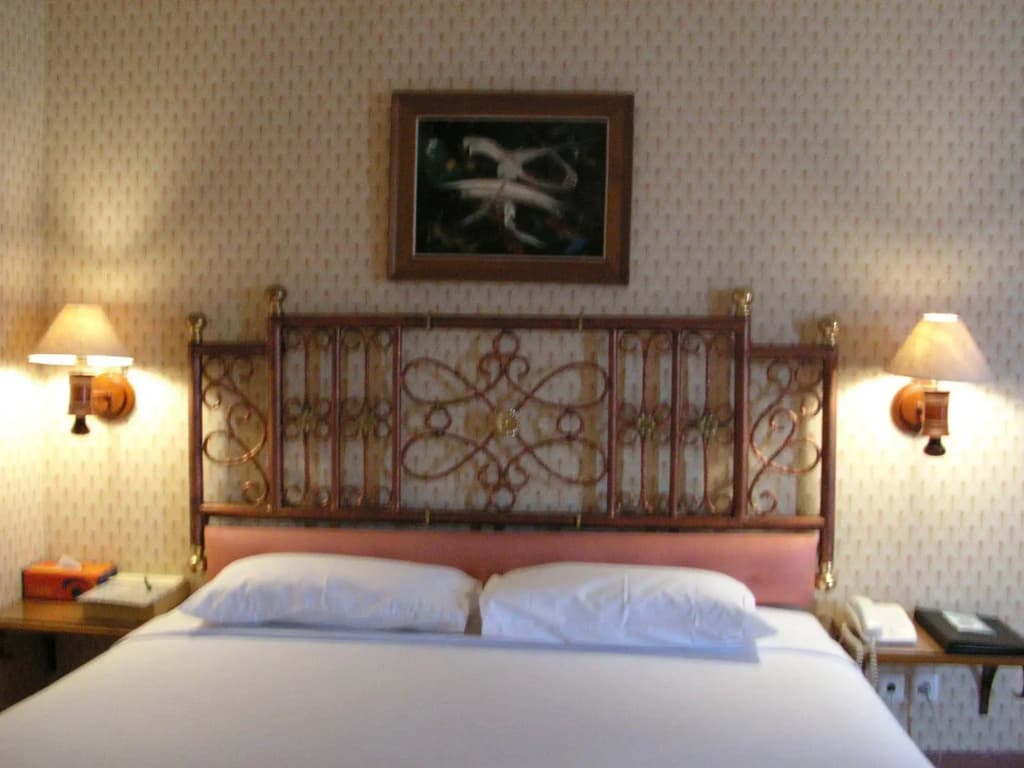 Classic Hotel - photo 5