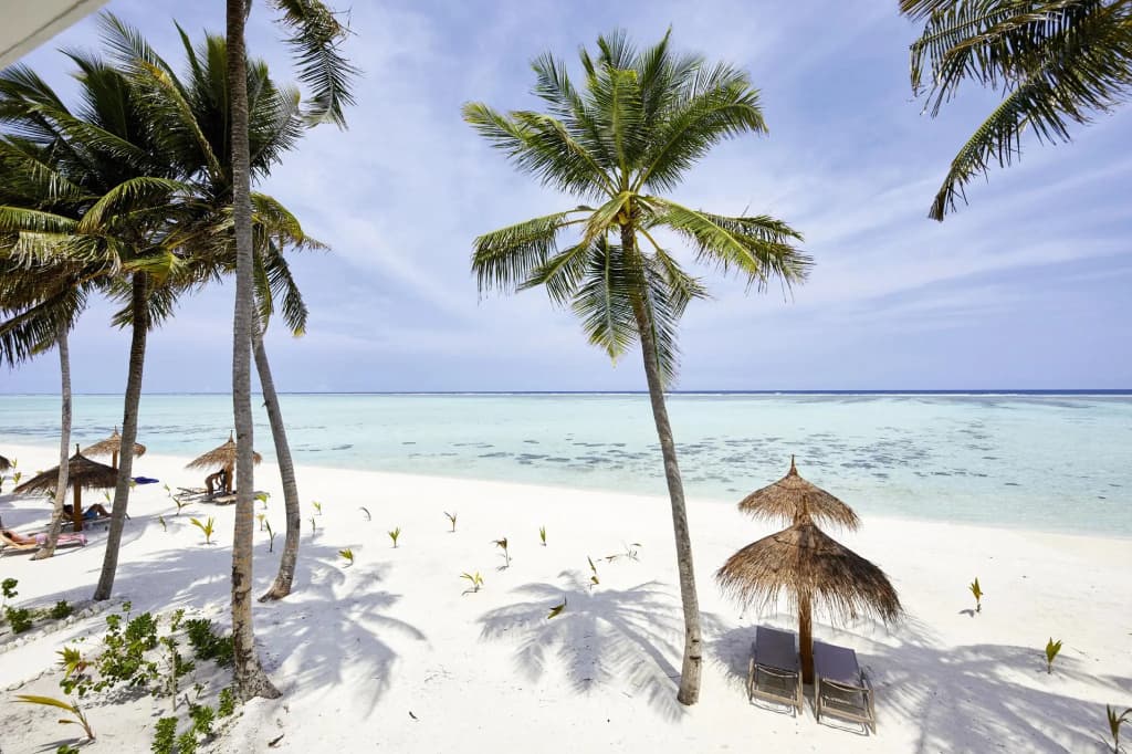 RIU Atoll All inclusive Hotel - photo 19