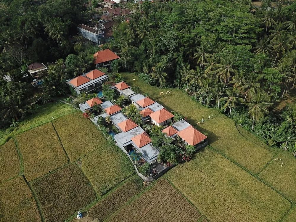 Asri Sari Resort Ubud - photo 16