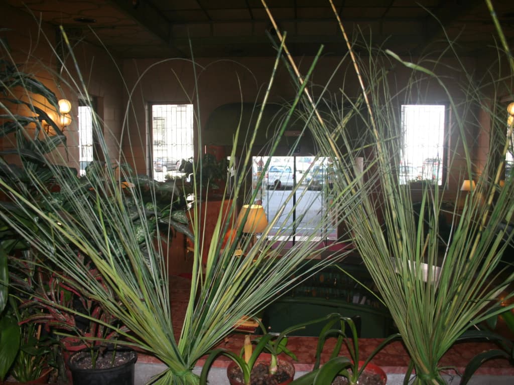 Albert Hotel - photo 13