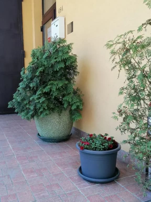 Hotel Arko - photo 18