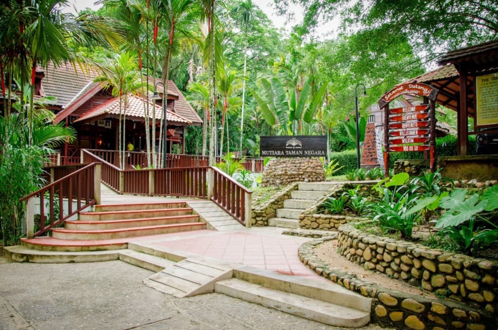 Mutiara Taman Negara - photo 15