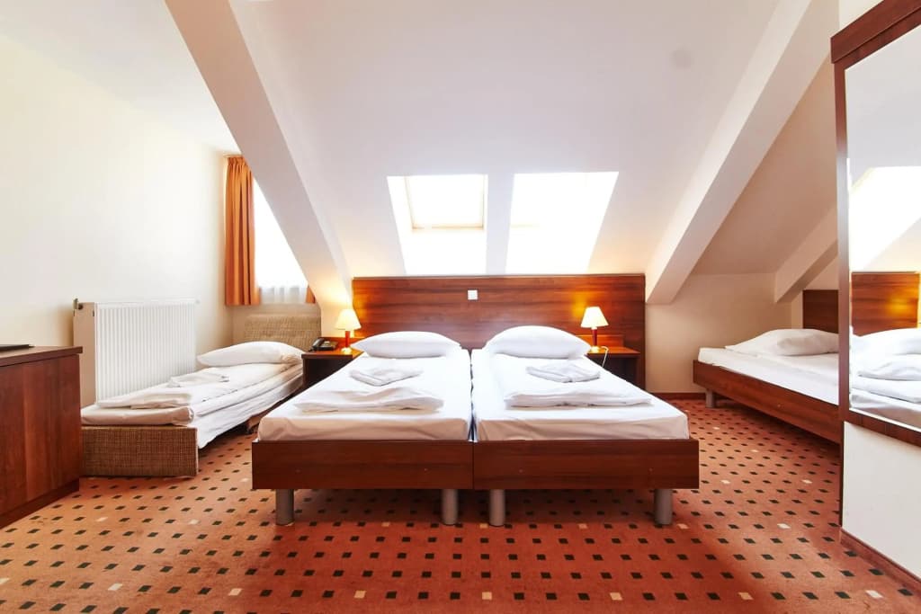 Hotel Europa City - photo 4