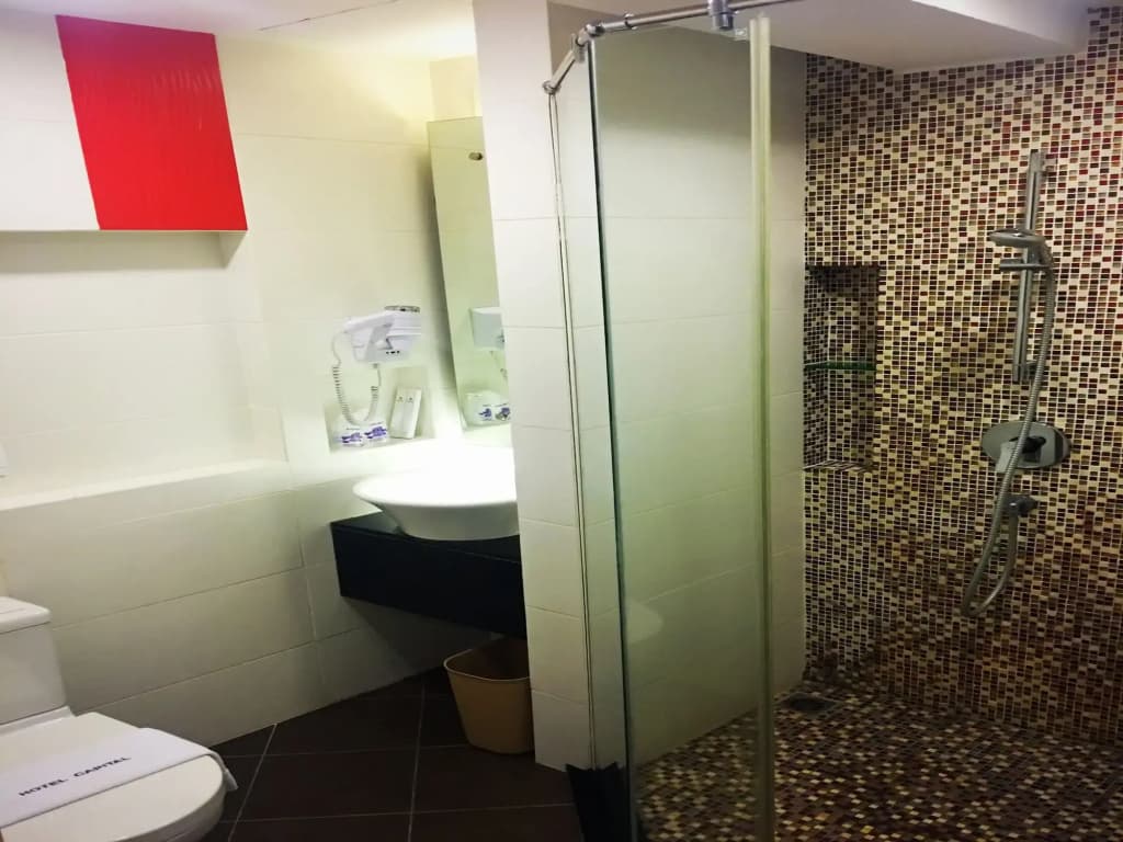 Hotel Capital - photo 8