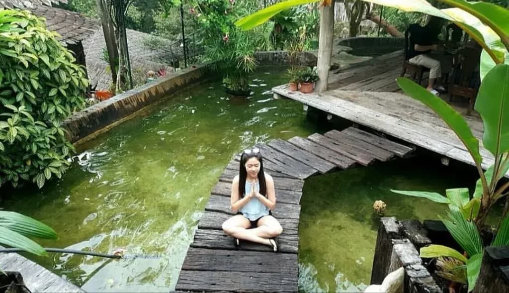 Fig Tree Hill Resort - photo 17