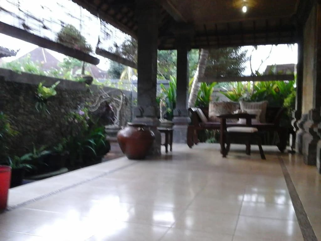 Villa Pecatu Ubud - photo 10