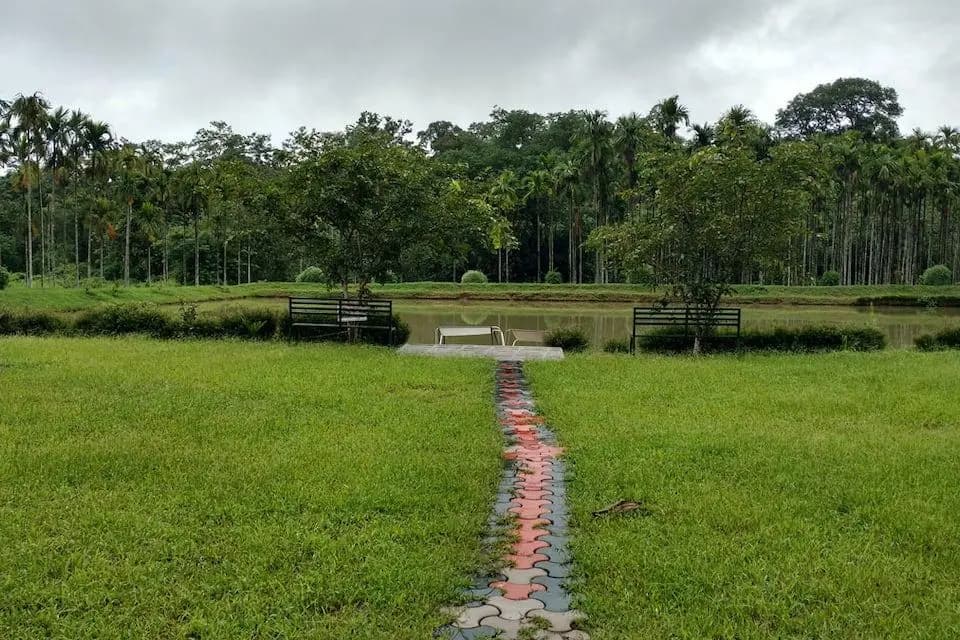 Pappy's Nest Resort - photo 4
