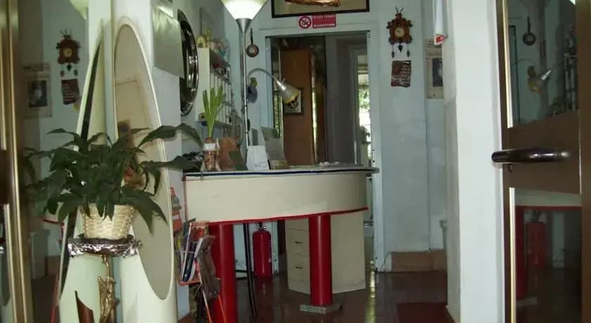 Hotel Viola - photo 7