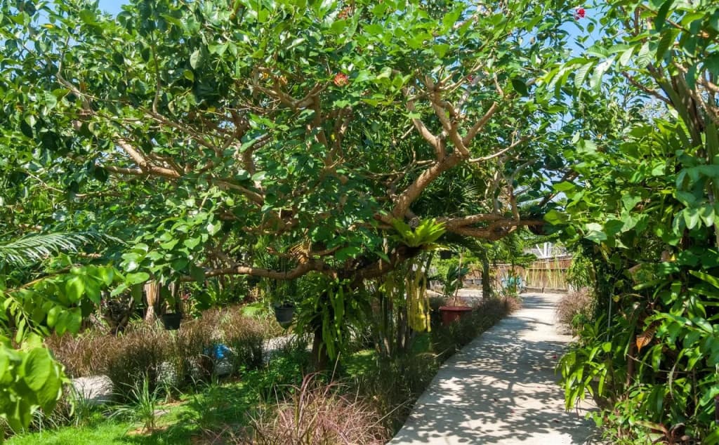 Maso Christian Villa Canggu - photo 9
