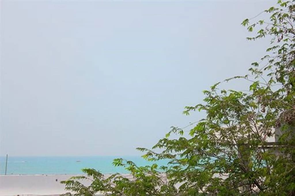 Honey Lodge - photo 15