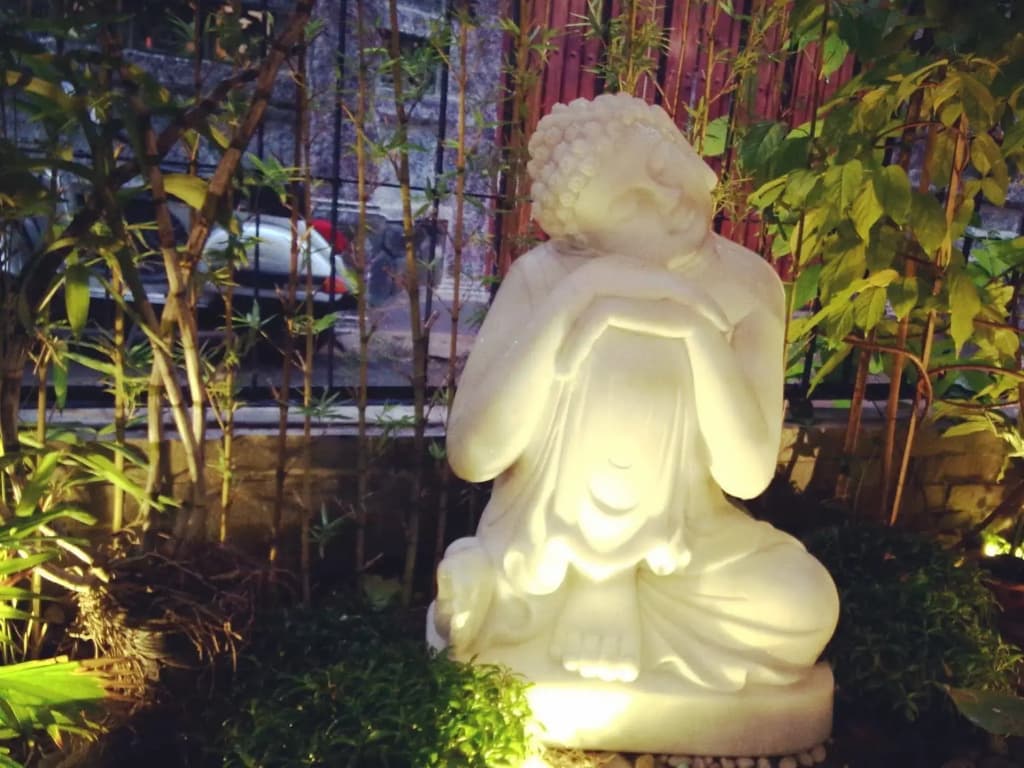 Chez Nous - photo 14