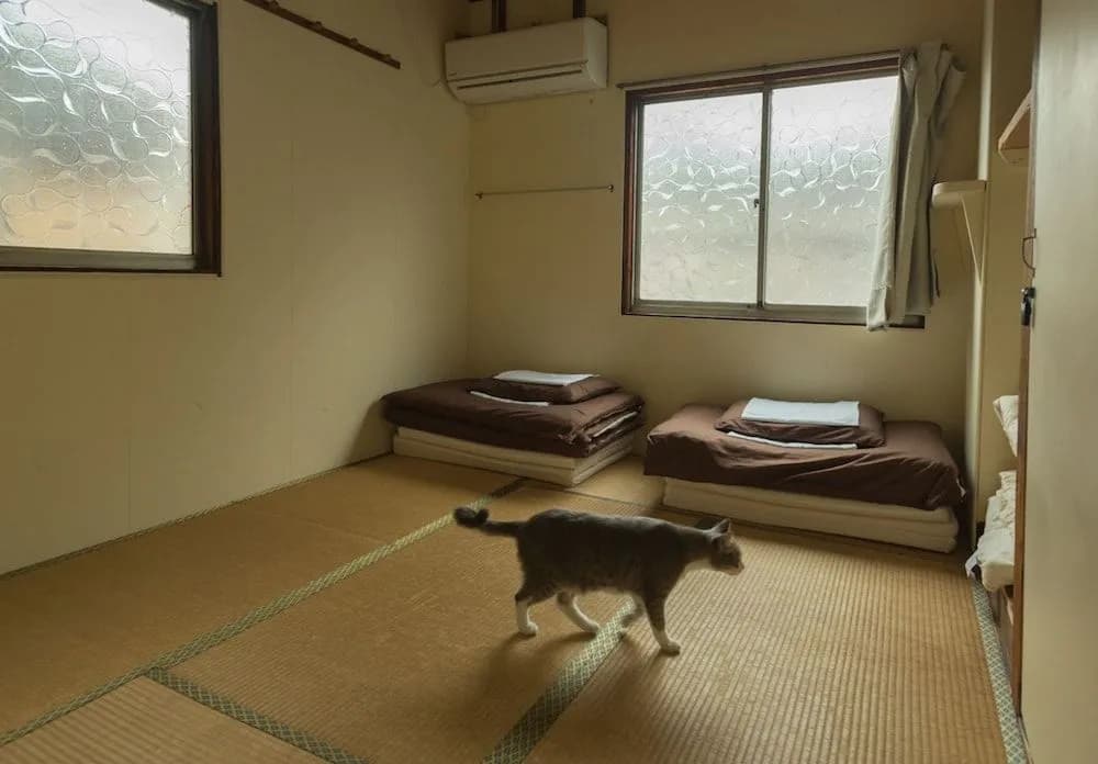 Air Osaka Hostel - photo 4