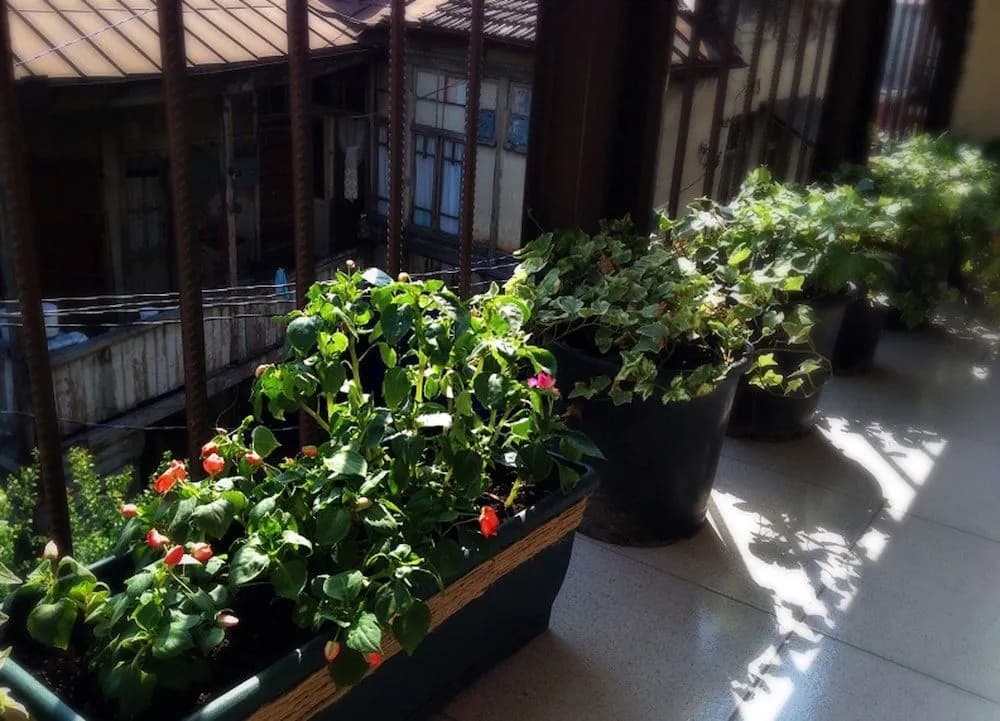 Vazi Hotel - photo 11