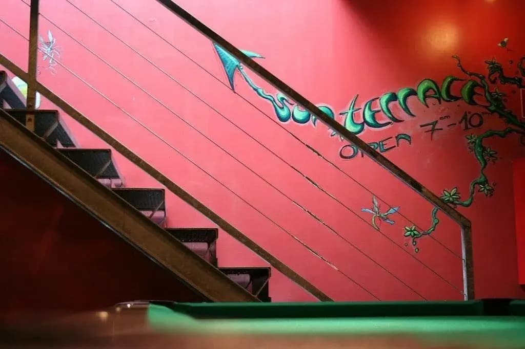 Wombats The Base - photo 8