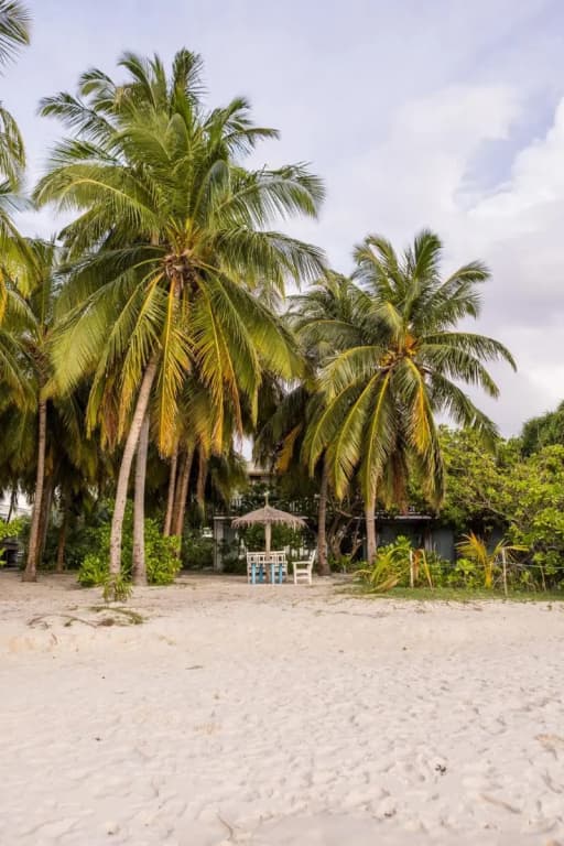 Nazaki Beach Hotel Maldives - photo 26