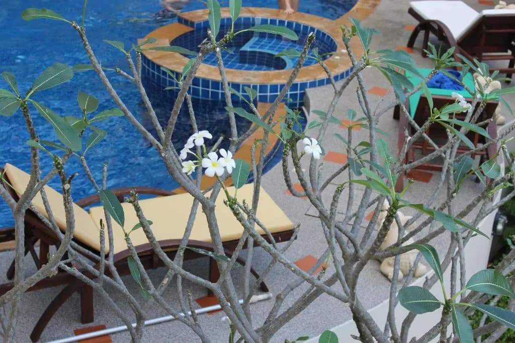 Chaweng Noi Residence - photo 11
