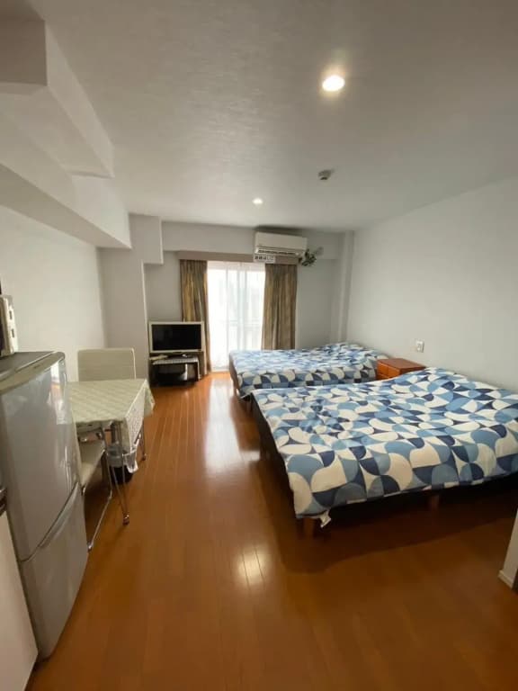 Takemura Building 304 - photo 6