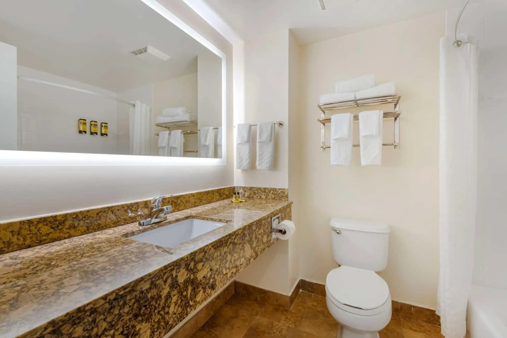 Best Western Plus Universal Inn - photo 8