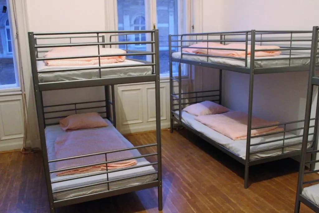 Black Dog Hostel - photo 3