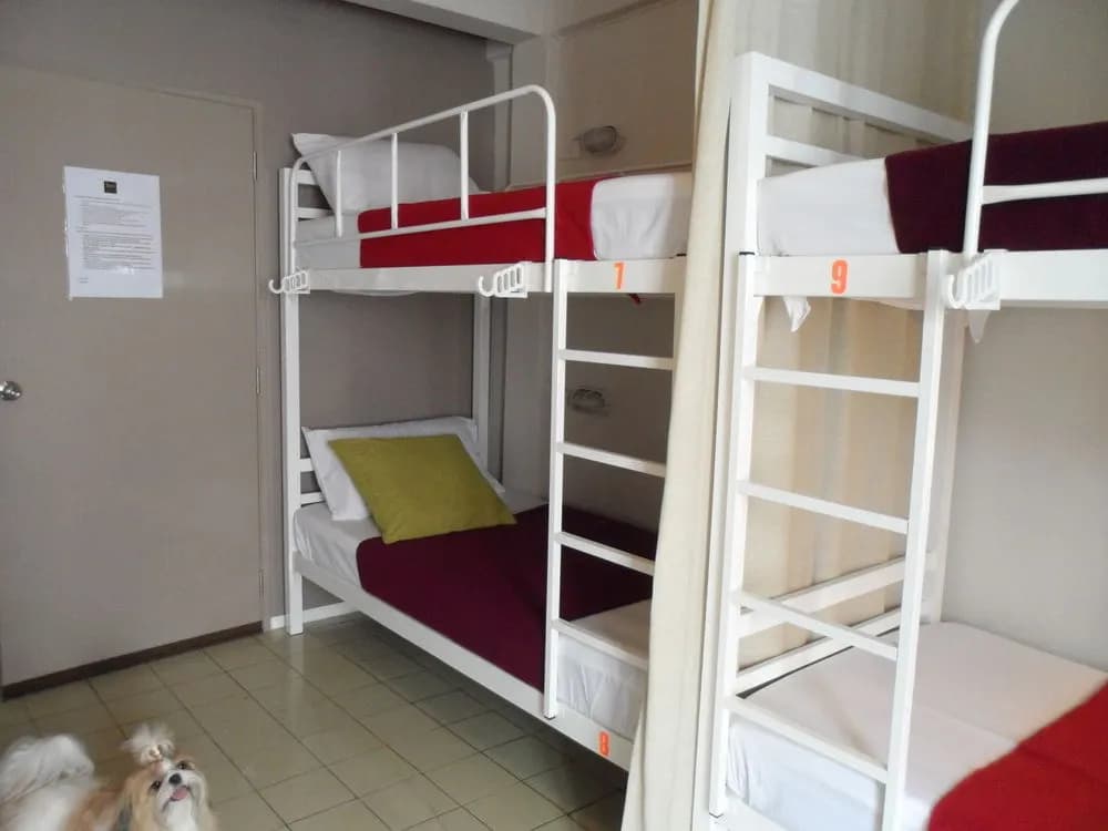 S99 hostel - photo 6