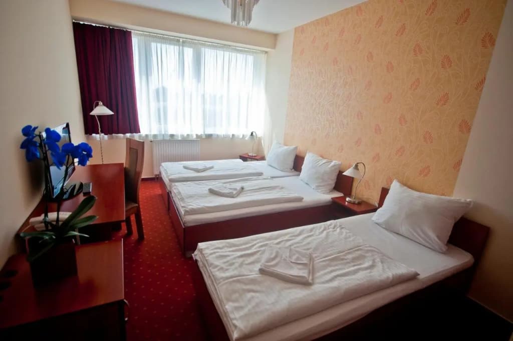 Canada Hotel - photo 27