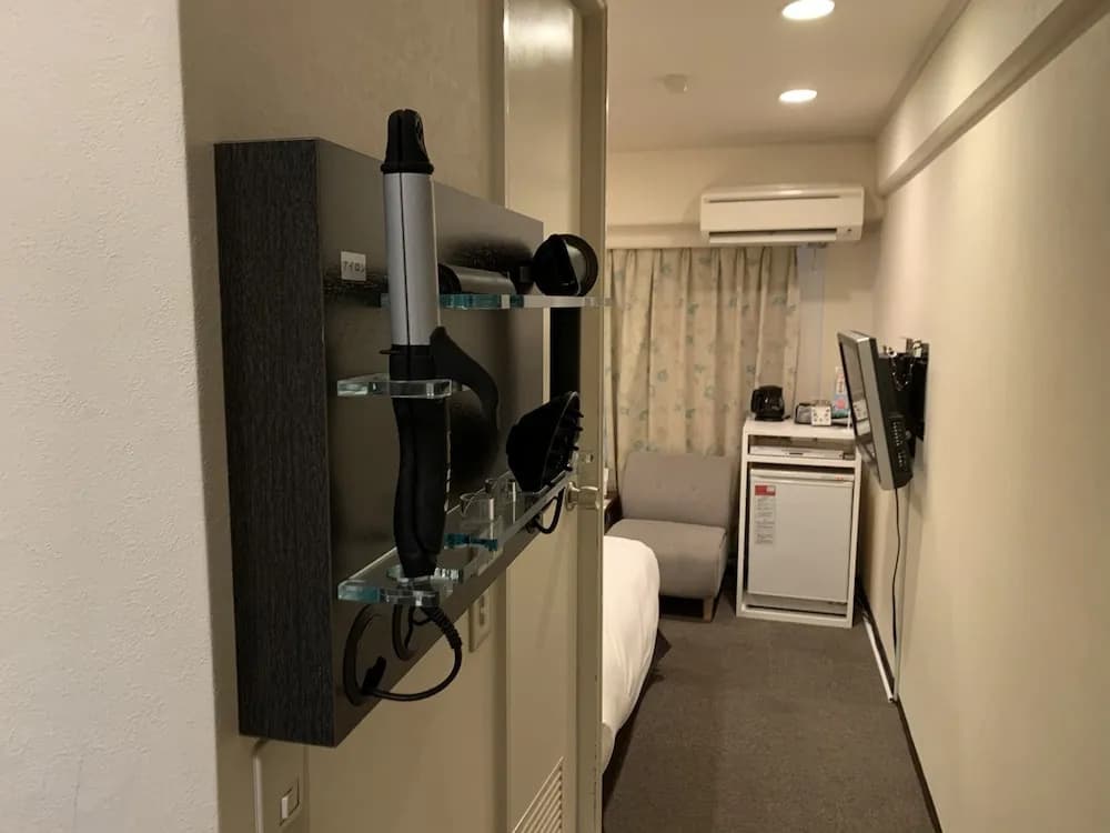 Roppongi Plaza Hotel - photo 15