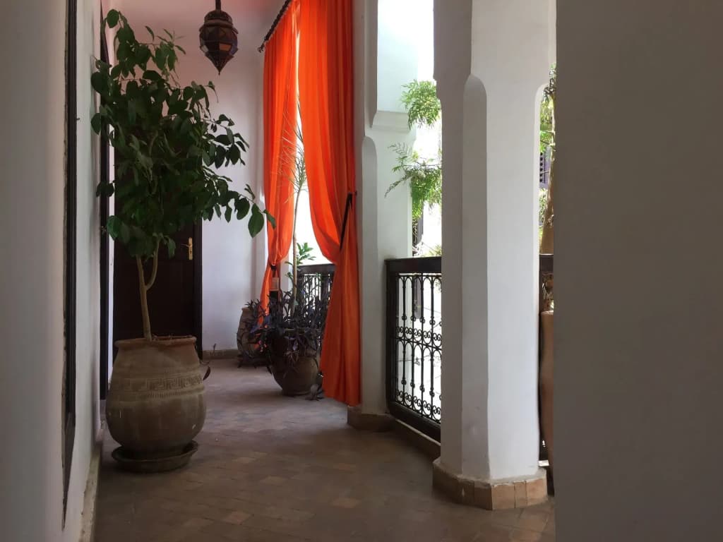 Riad Alwane - photo 12
