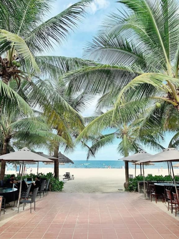 Amani Hotel Danang - photo 20