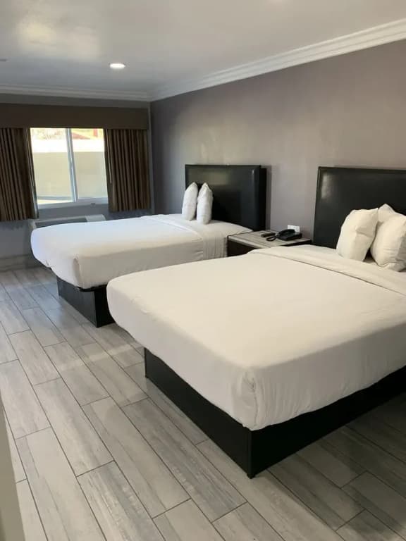 Willow Tree Inn  Suites - photo 9