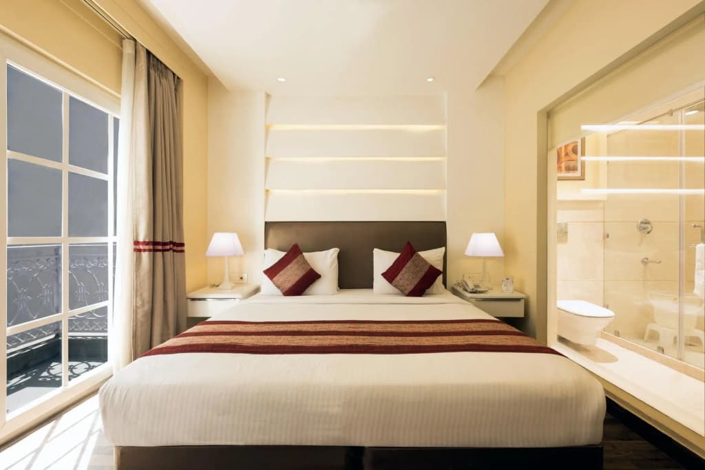 Hotel Picasso Naraina - photo 1