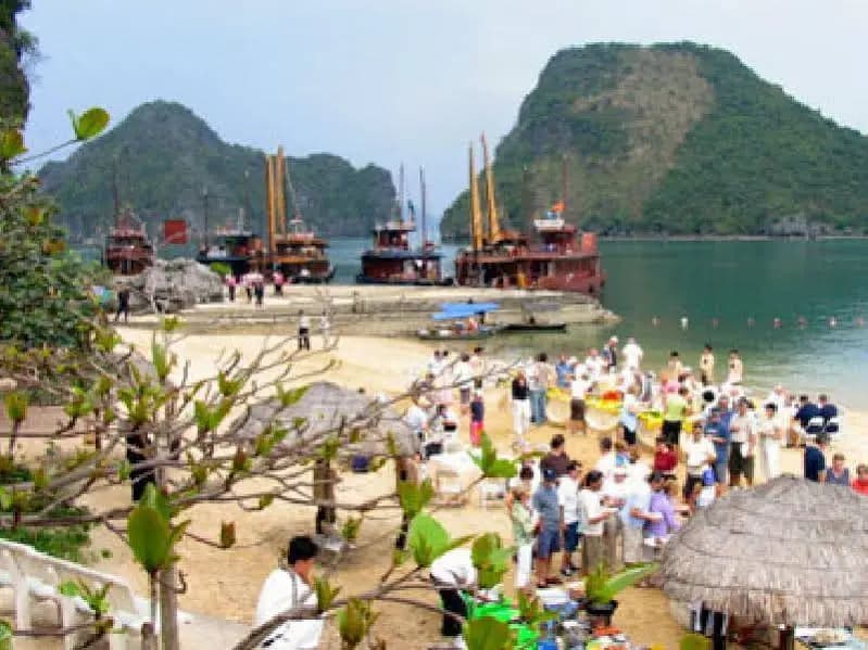 Bien Ngoc 22 Cruise - photo 3